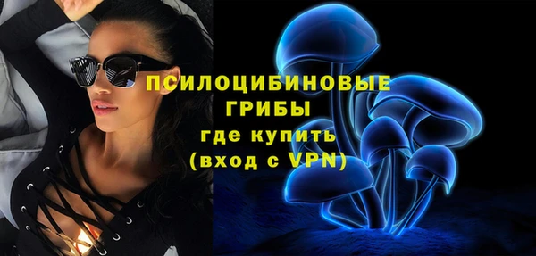 эйфоретик Алексин