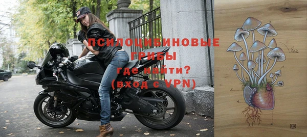 эйфоретик Алексин