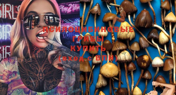 таблы Алзамай